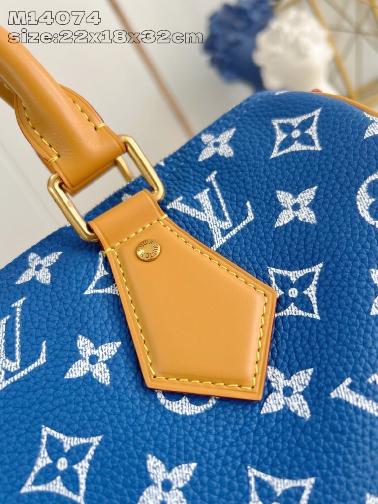 Borsa Louis Vuitton blu con dettagli in pelle tan e chiusura in oro, elegante e versatile.