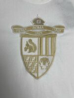 Emblema ricamato Fendi su T-shirt di lusso, dettagli eleganti e simboli di eleganza italiana.