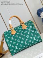 Borsa Louis Vuitton verde con manici in pelle e dettagli dorati, elegante e di lusso.