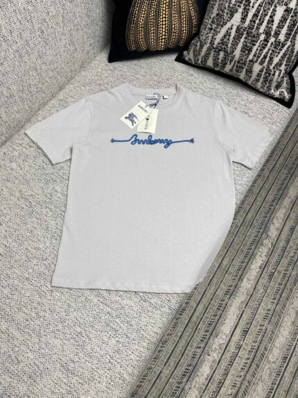 T-shirt grigia con scritta Anthony blu, stile casual e moderno, su sfondo accogliente.