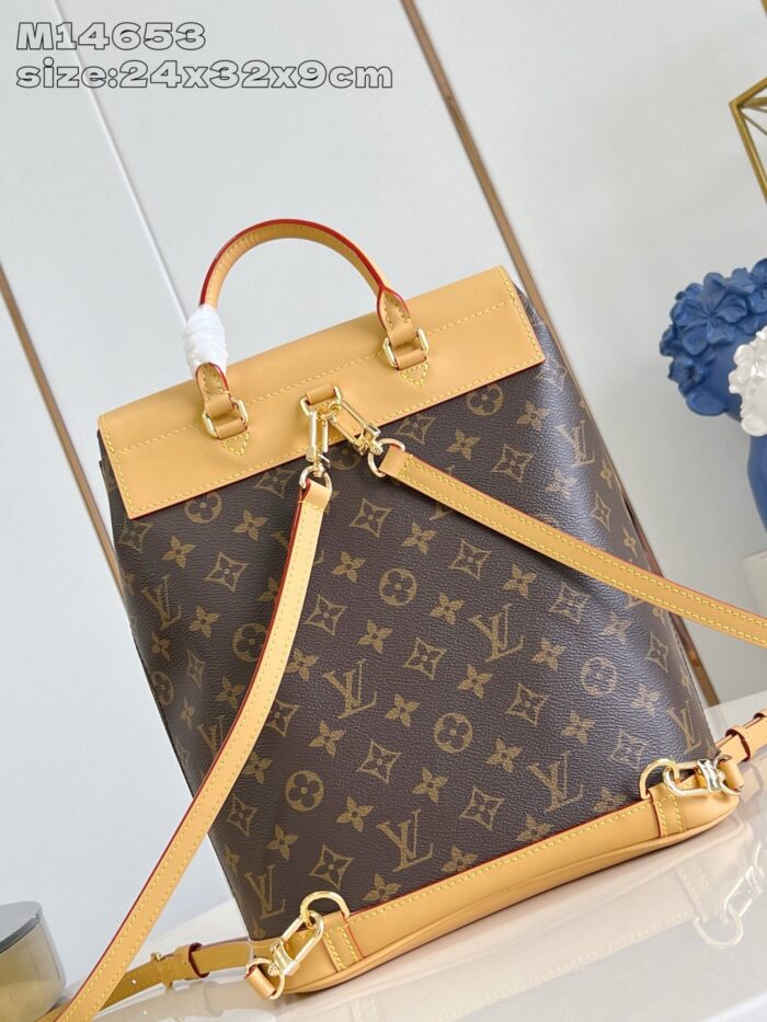 Borsa Louis Vuitton monogramma elegante con tracolla rimovibile e dettagli in pelle raffinata.
