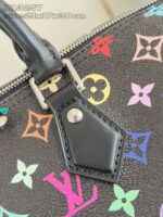 Borsa Louis Vuitton colorata in canvas con dettagli in pelle e simboli iconici.