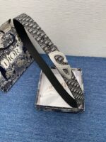 Cintura Dior di Lusso con Confezione Raffinata e Dettagli Eleganti in Stile Esclusivo.