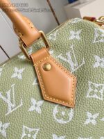 Borsa Louis Vuitton verde chiaro con dettaglio in pelle e hardware dorato di lusso.