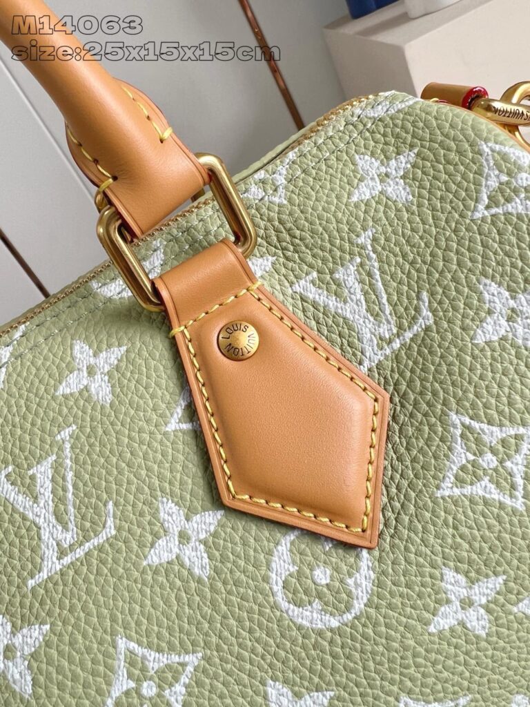 Borsa Louis Vuitton verde chiaro con dettaglio in pelle e hardware dorato di lusso.