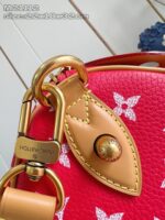Borsa in pelle rossa con dettagli dorati, design elegante e stile sofisticato.
