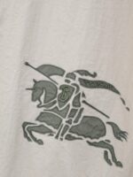 Cavaliere medievale in armatura su cavallo con lancia e bordo, simbolo di valore e tradizione.