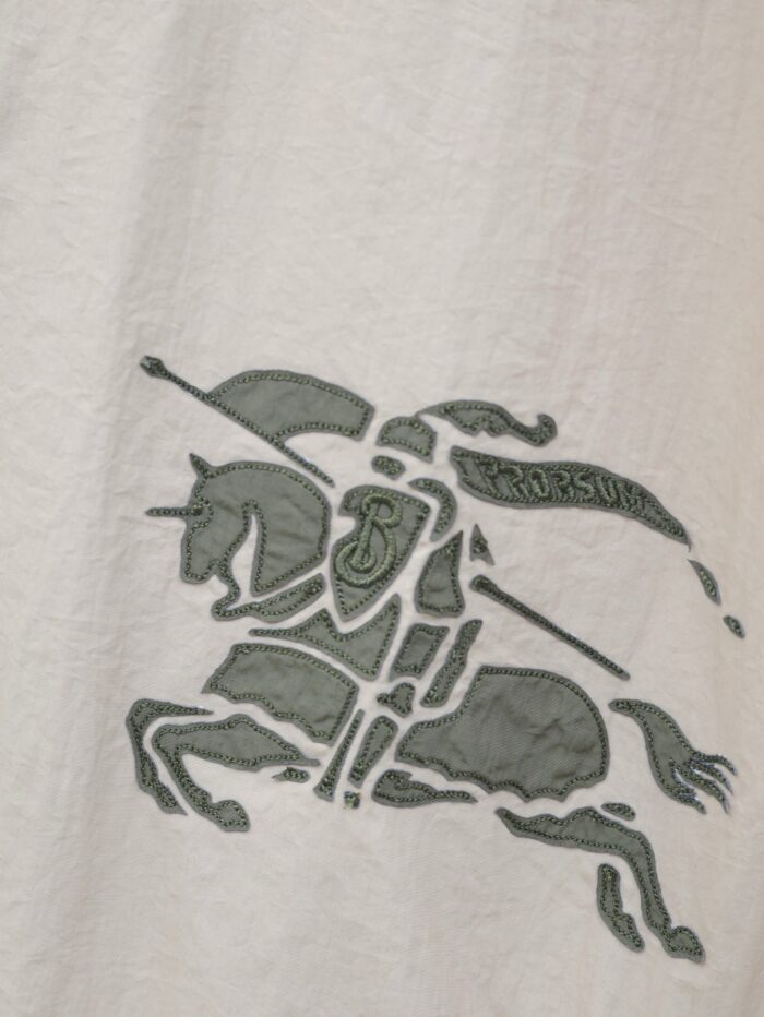 Cavaliere medievale in armatura su cavallo con lancia e bordo, simbolo di valore e tradizione.