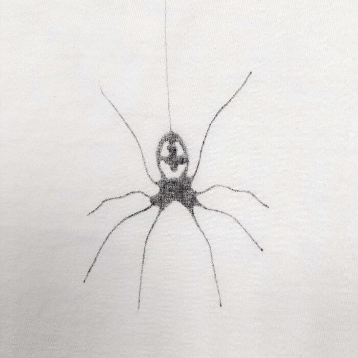 Ragno in bianco e nero su filo, disegno realistico ed elegante, dettagli anatomici accurati.