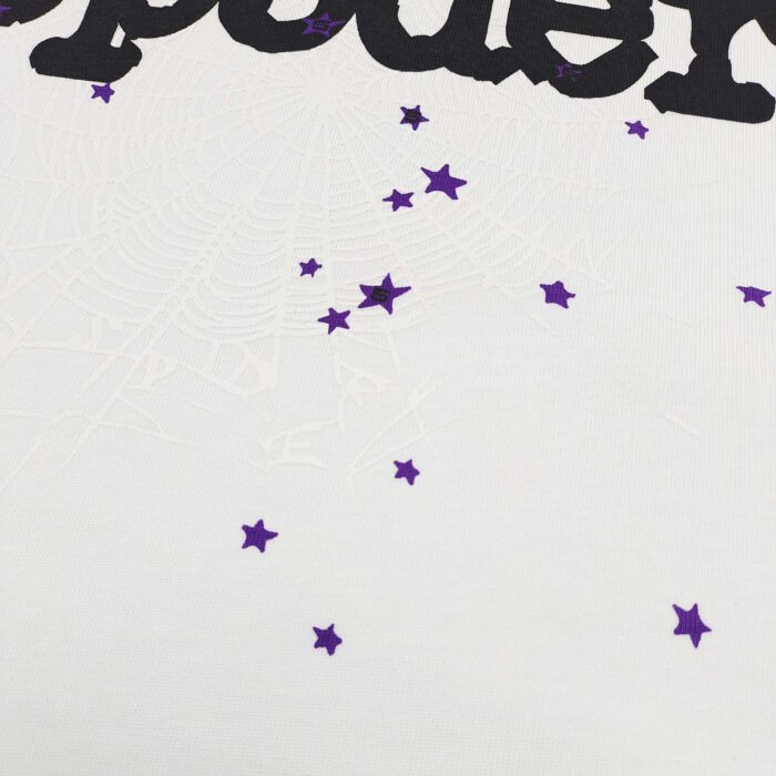 Decorazioni di Halloween con ragnatela, stelle viola e testo spider festivo.