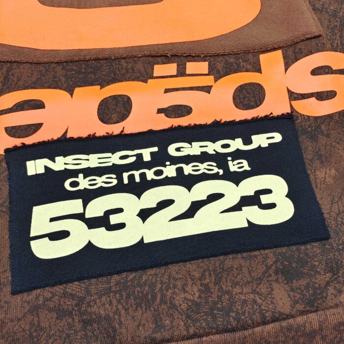 Design testuale con logo eröds e dettagli artistici a Des Moines, Insect Group.